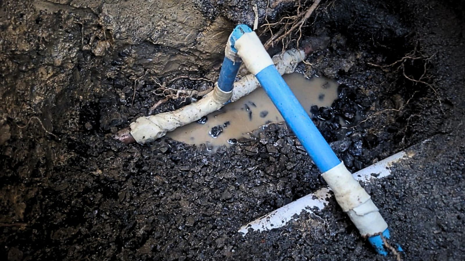 Water Leak Repairs New Plymouth