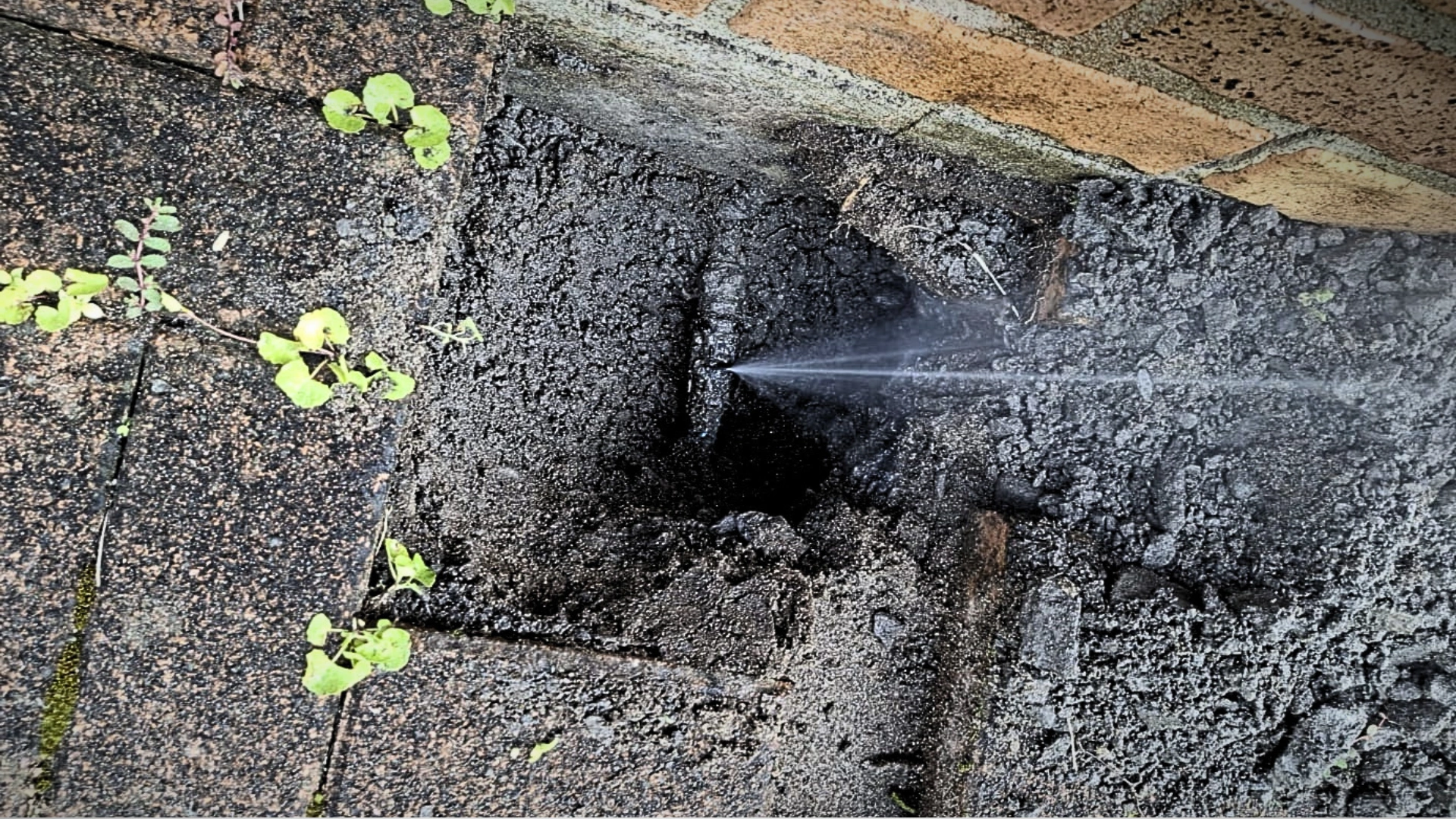 Plumbing for Property Managers New Plymouth